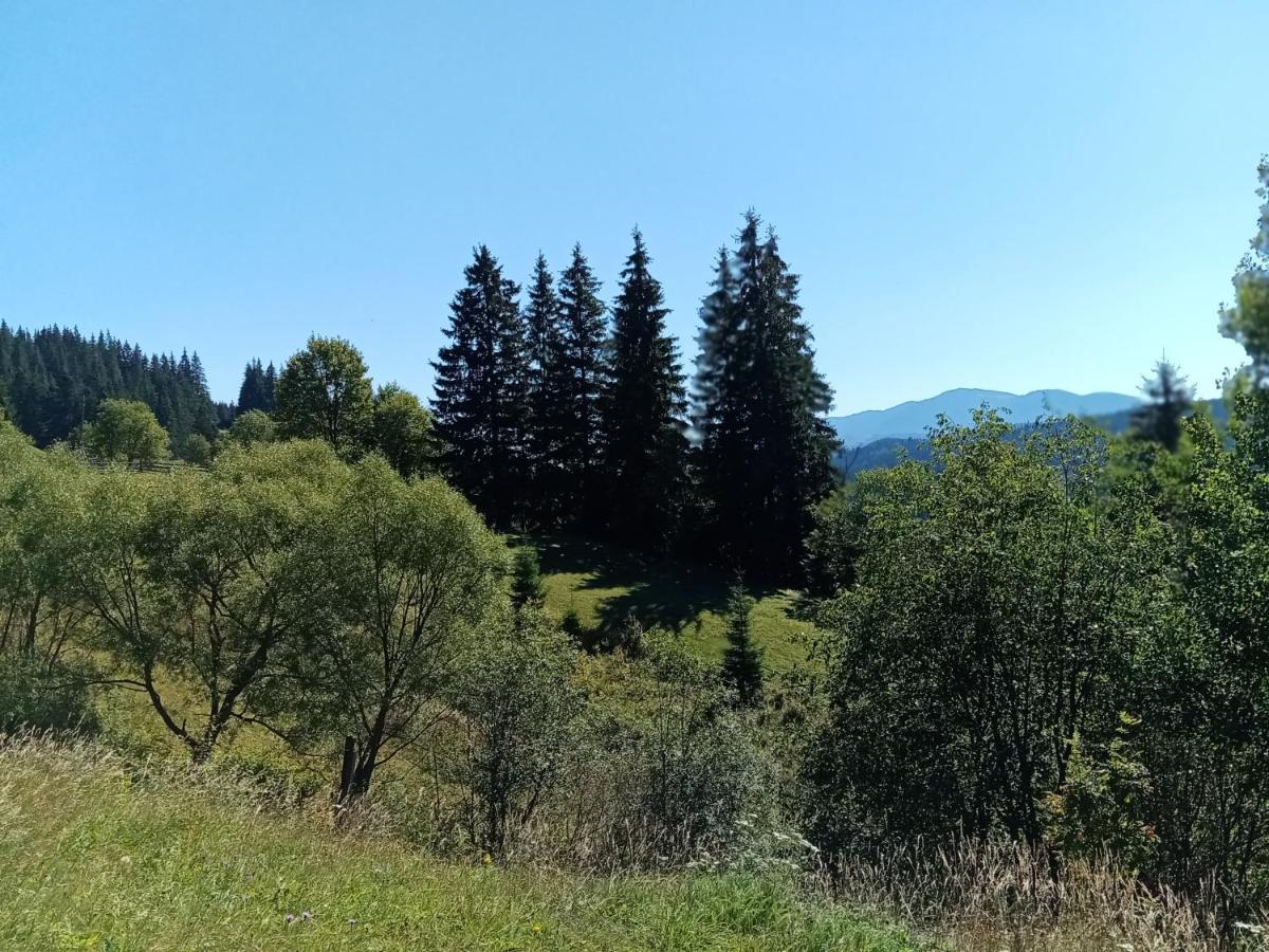 шпінь 2 Holiday home